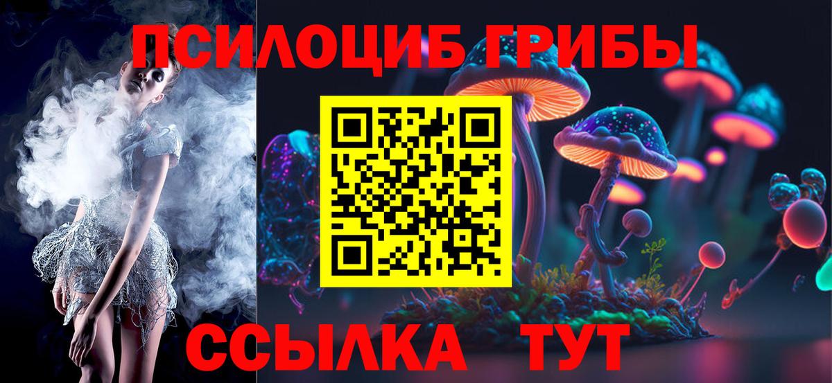 Кизляр  Псилоцибиновые грибы GOLDEN TEACHER  Вход с VPN 